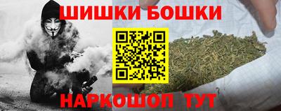 гашик Моздок