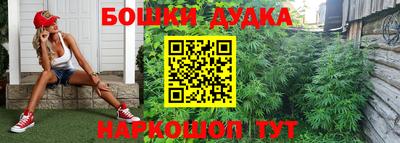 гашик Моздок