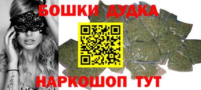 гашик Моздок
