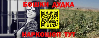 гашик Моздок