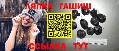 гашик Моздок