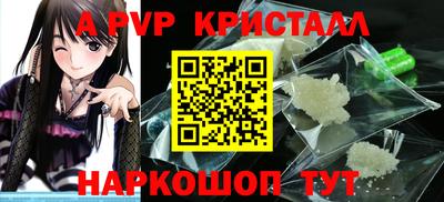 гашик Моздок