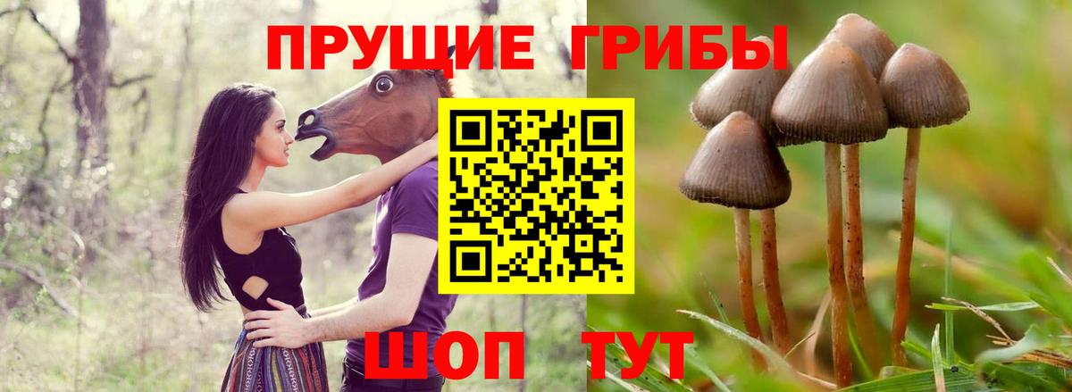 Псилоцибиновые грибы мухоморы Ялта